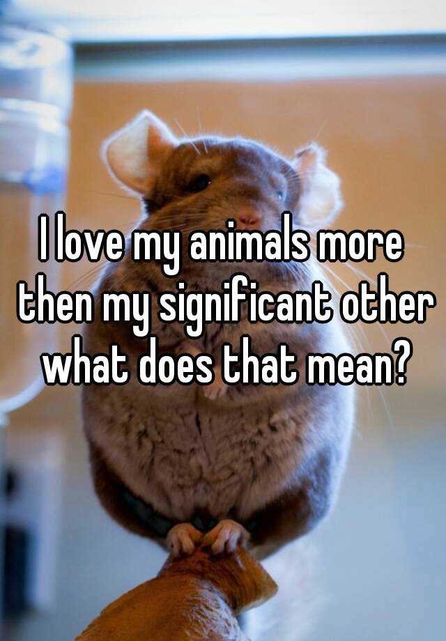 I love my animals more then my significant other what does that mean?