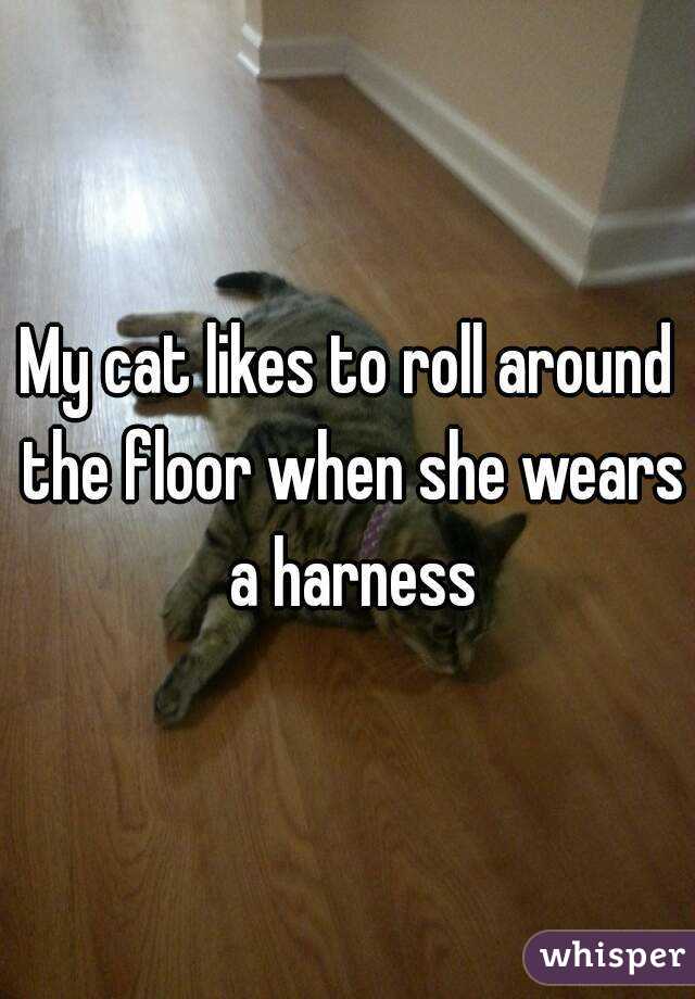 My cat likes to roll around the floor when she wears a harness