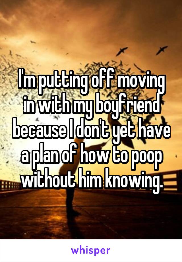 I'm putting off moving in with my boyfriend because I don't yet have a plan of how to poop without him knowing.