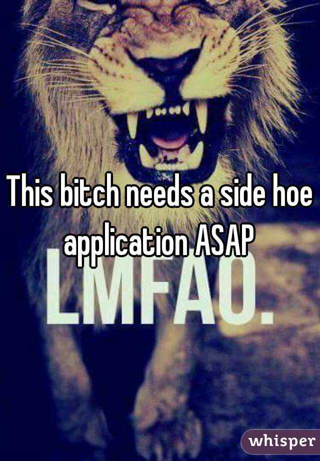 this-bitch-needs-a-side-hoe-application-asap