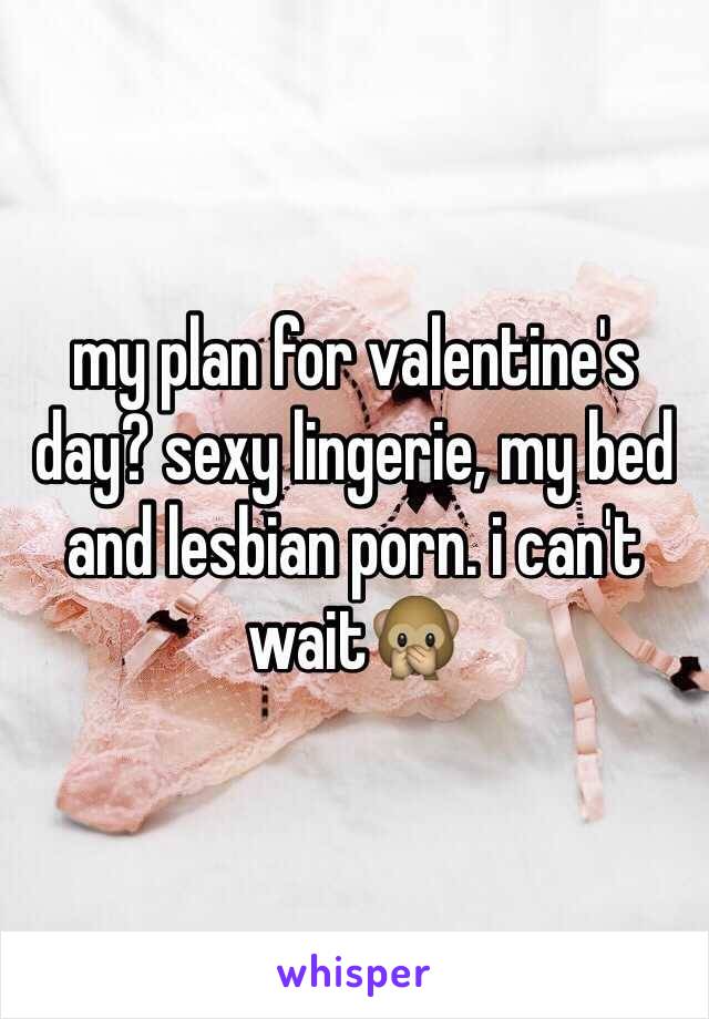 my plan for valentine's day? sexy lingerie, my bed and ...