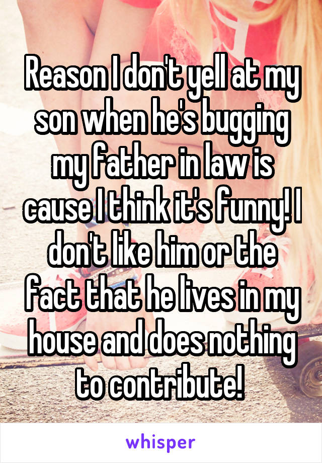 Reason I don't yell at my son when he's bugging my father in law is cause I think it's funny! I don't like him or the fact that he lives in my house and does nothing to contribute! 