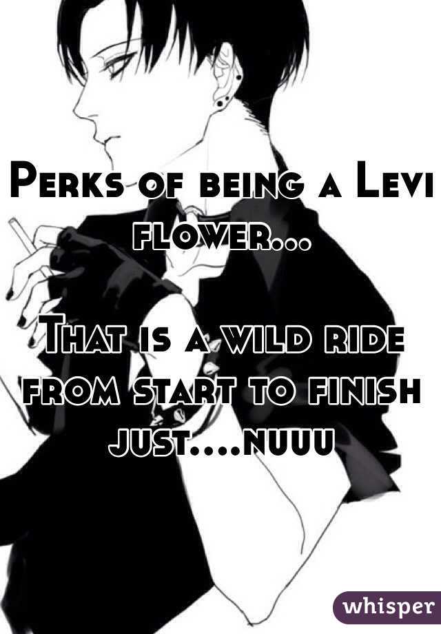 Perks of being a Levi flower That is a wild ride from start to