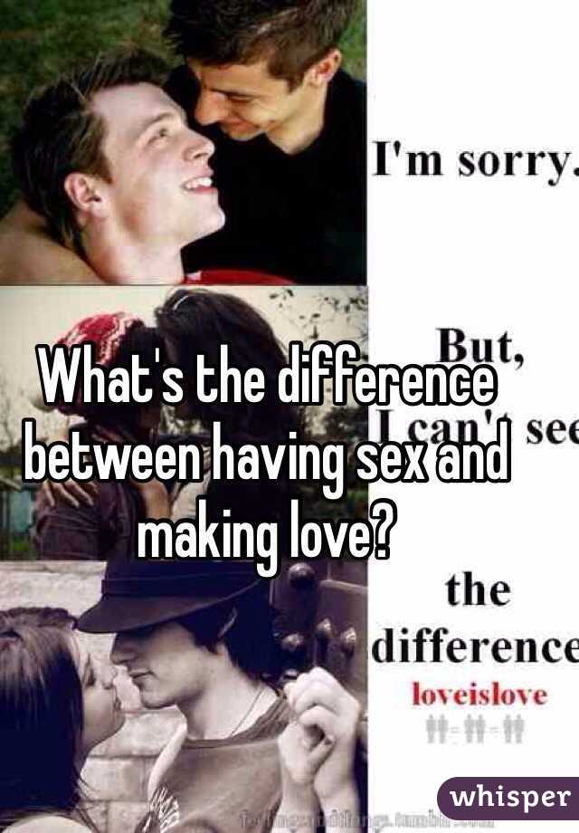 Difference between sex and love making