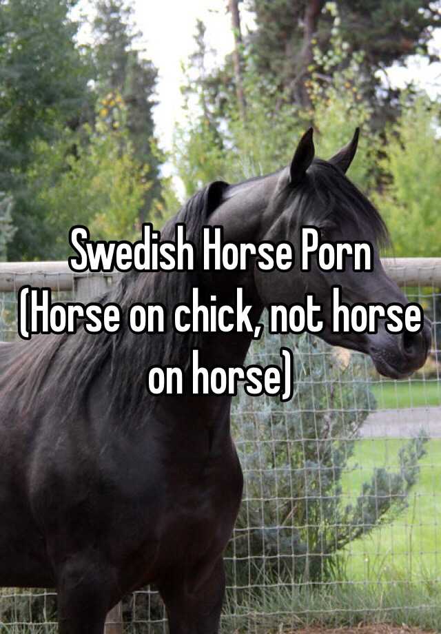 Stallion Horse Porn - Swedish Horse Porn (Horse on chick, not horse on horse)