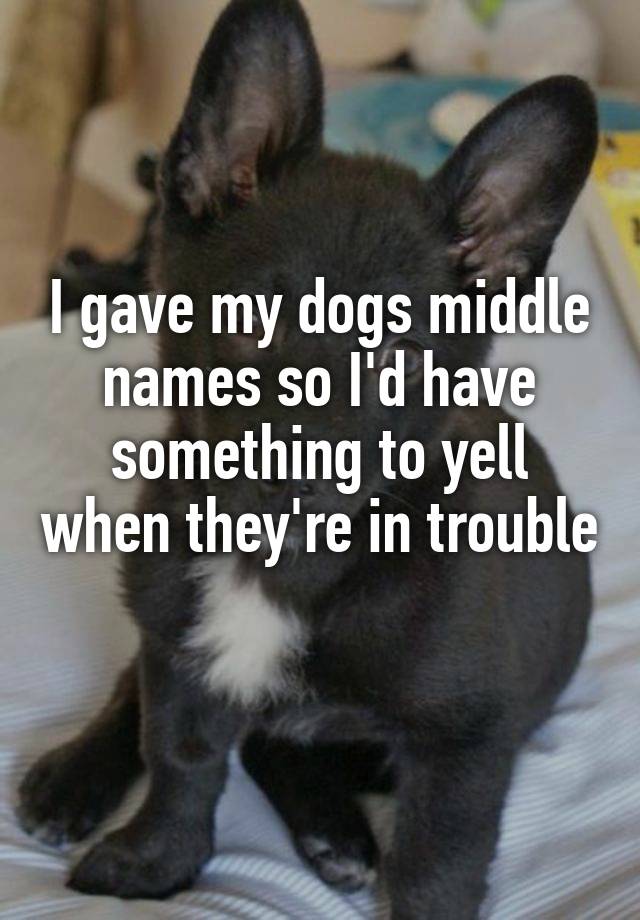 dog middle names