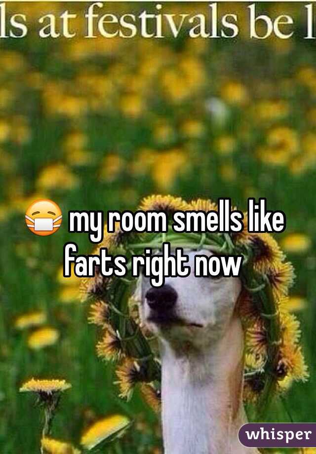 My Room Smells Like Farts Right Now