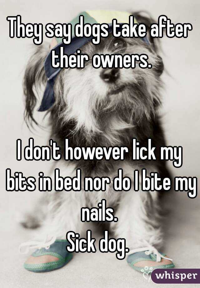 They Say Dogs Take After Their Owners I Don T However Lick My Bits In Bed