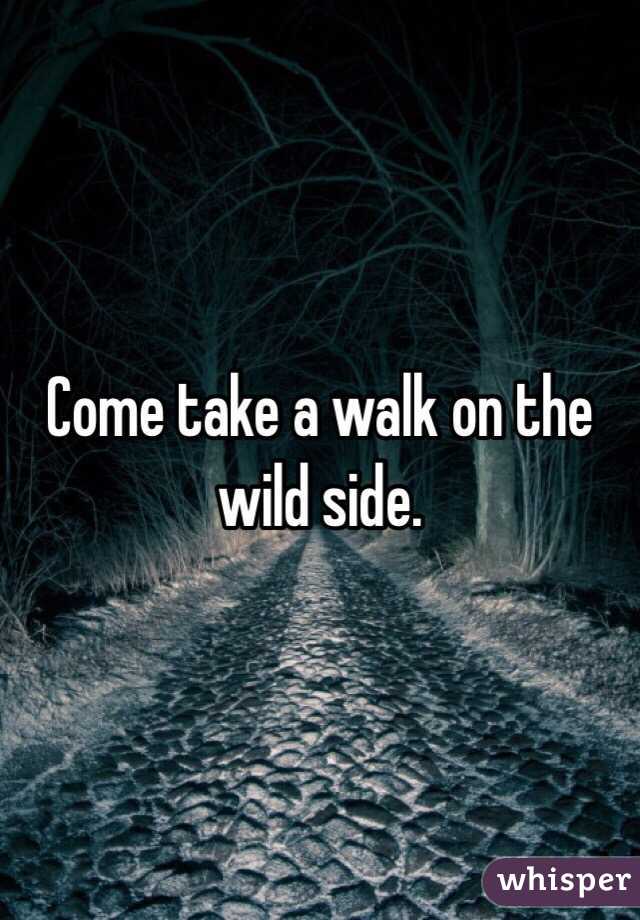 Come Take A Walk On The Wild Side