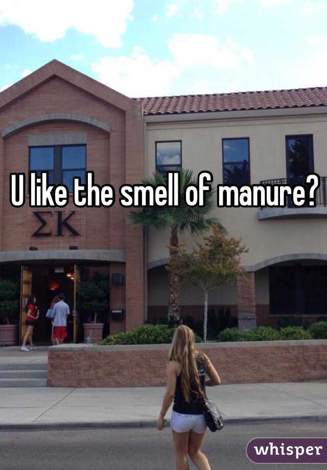 U like the smell of manure?