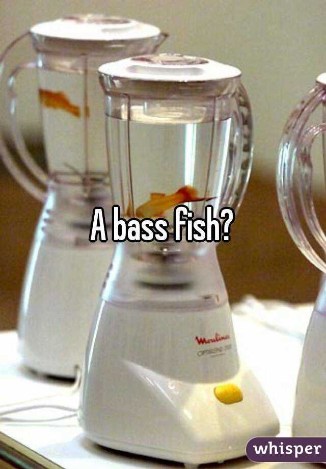 A bass fish?