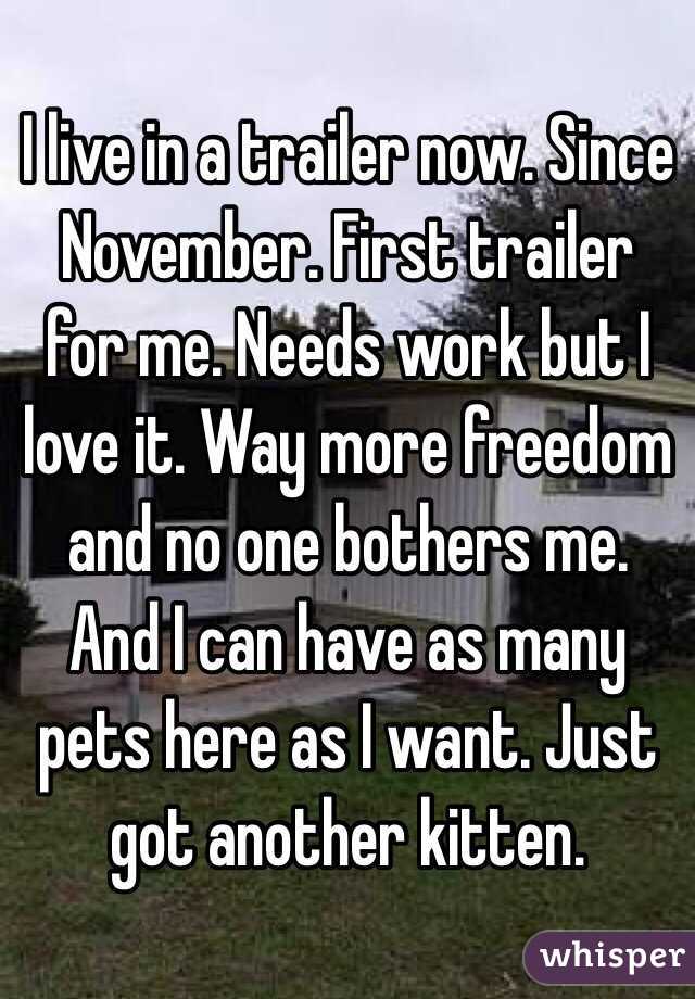 I live in a trailer now. Since November. First trailer for me. Needs work but I love it. Way more freedom and no one bothers me. And I can have as many pets here as I want. Just got another kitten.