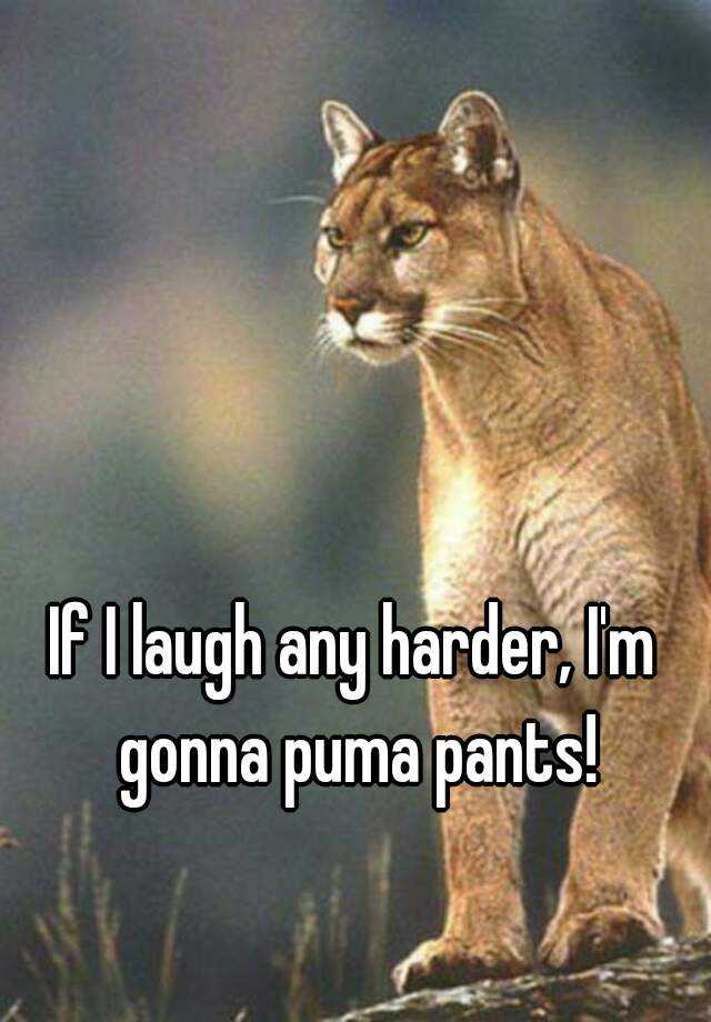 i m about to puma pants