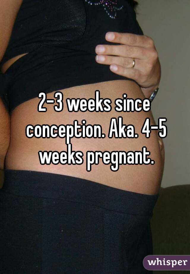 2 3 Weeks Since Conception Aka 4 5 Weeks Pregnant