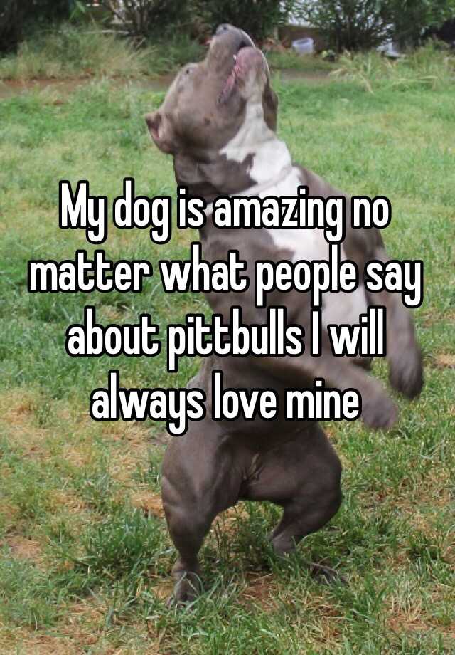 My Dog Is Amazing No Matter What People Say About Pittbulls I Will Always Love Mine
