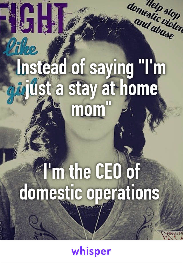 Instead of saying "I'm just a stay at home mom"


I'm the CEO of domestic operations 