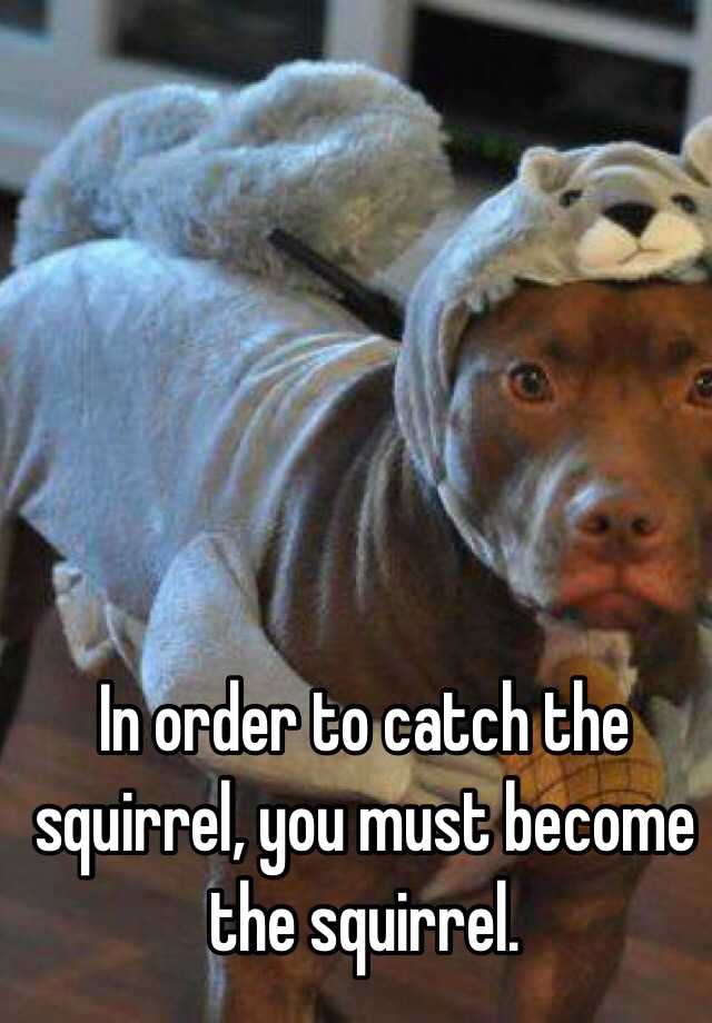 In order to catch the squirrel, you must become the squirrel.