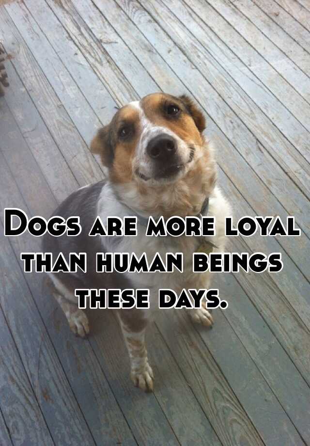 dogs-are-more-loyal-than-human-beings-these-days