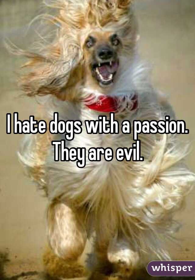 I hate dogs with a passion. They are evil.