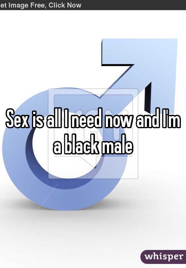 Sex is all I need now and I'm a black male