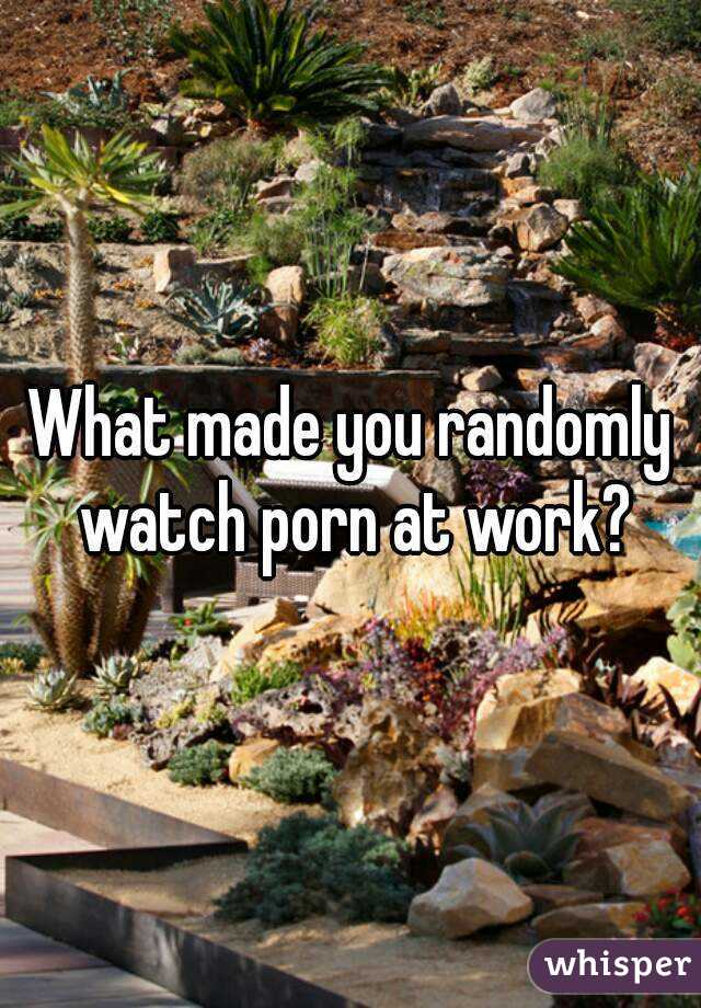 What made you randomly watch porn at work?