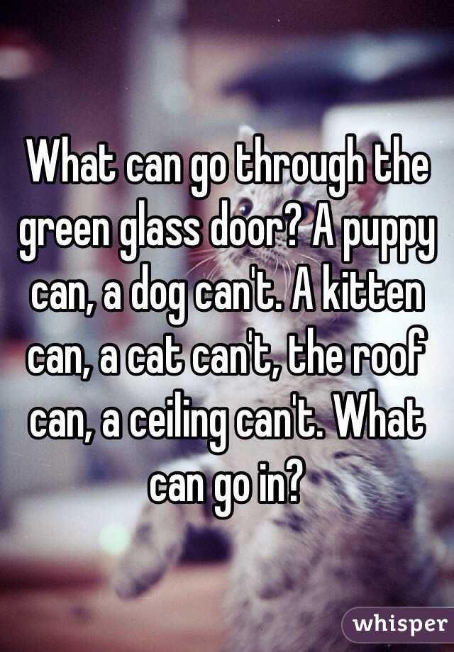 What Can Go Through The Green Glass Door A Puppy Can A Dog