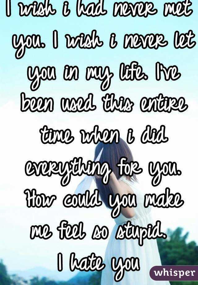 I Wish I Had Never Met You I Wish I Never Let You In My Life Ive Been Used This Entire Time 5691