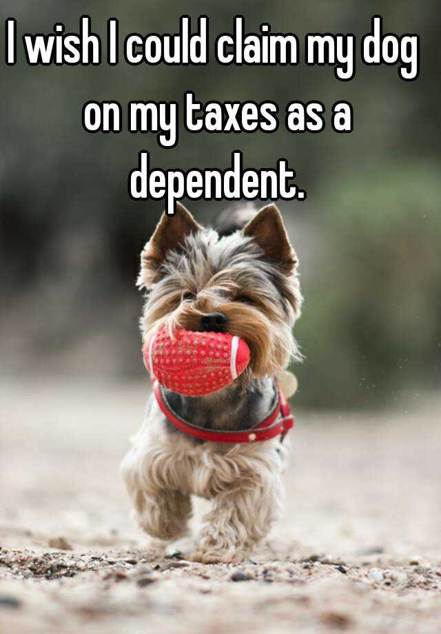 I wish I could claim my dog on my taxes as a dependent.