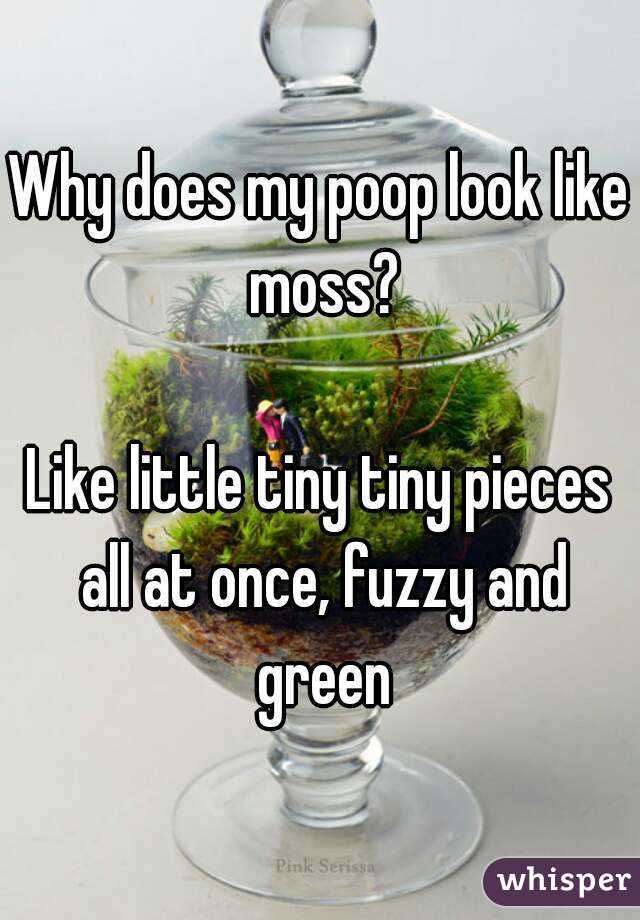 why-does-my-poop-look-like-moss-like-little-tiny-tiny-pieces-all-at