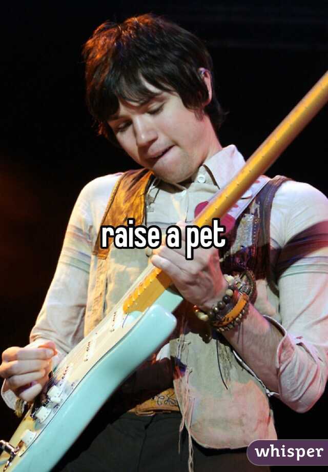 raise a pet