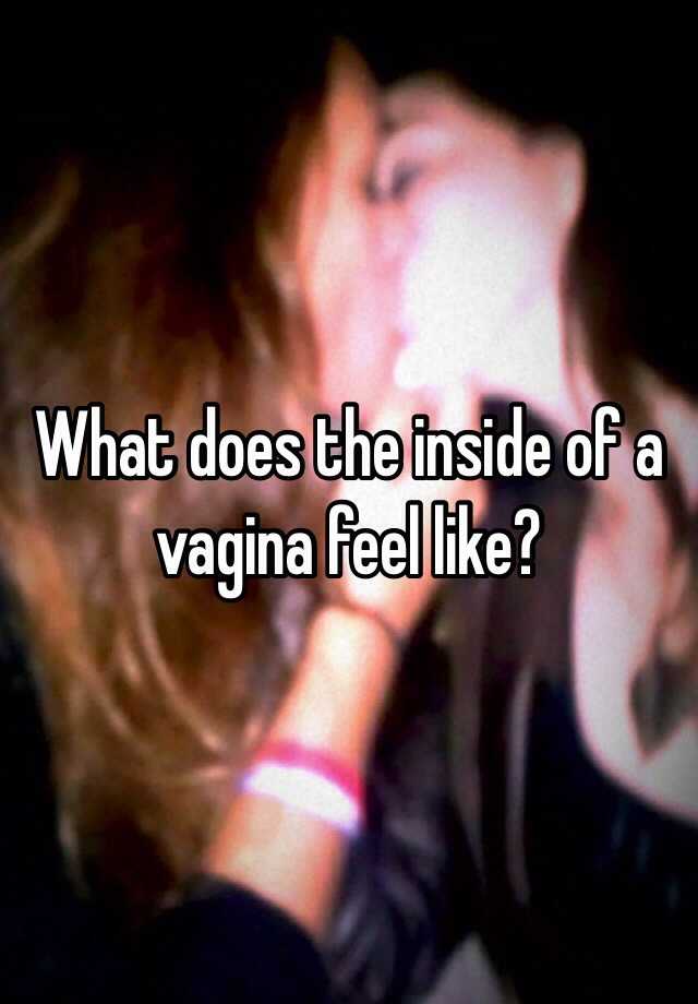 what does the inside of a pussy feel like