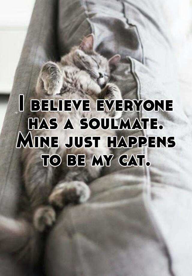 be mine cat