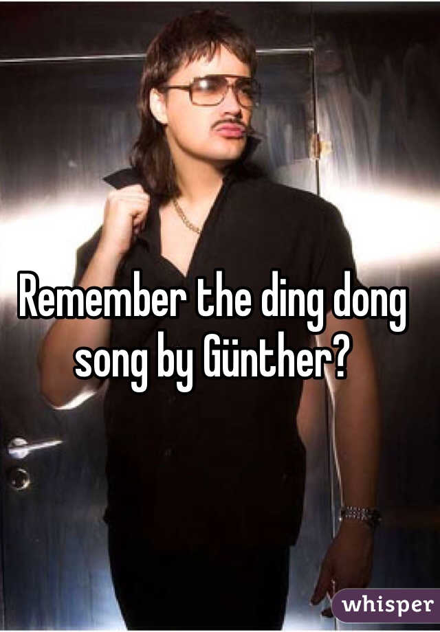 Remember The Ding Dong Song By Gunther