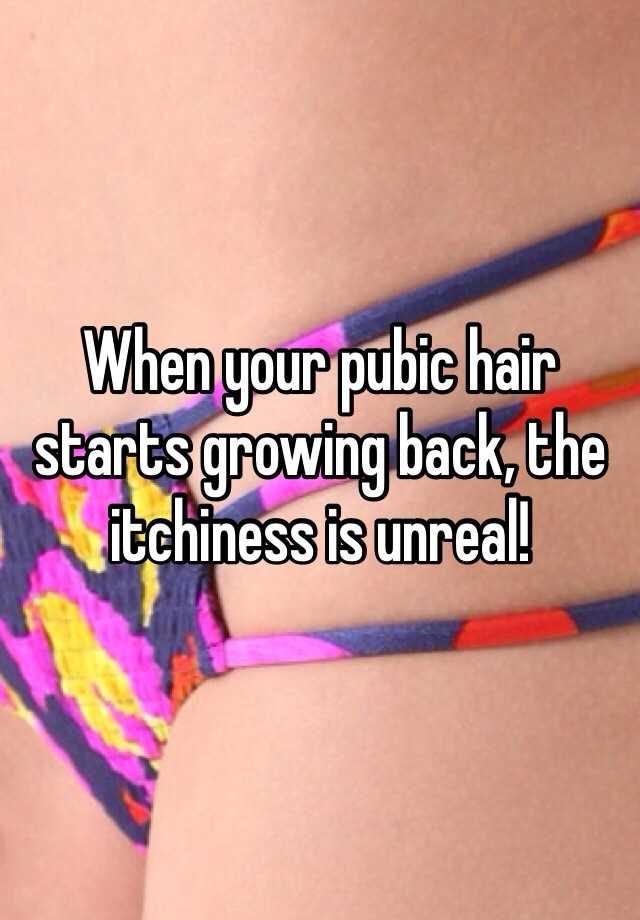 My back hair will pubic grow Pubic Hair: