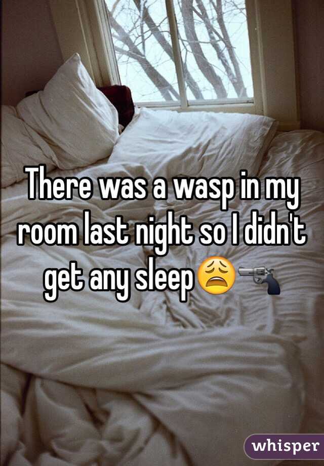 There Was A Wasp In My Room Last Night So I Didn T Get Any Sleep