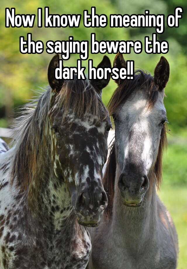 now-i-know-the-meaning-of-the-saying-beware-the-dark-horse