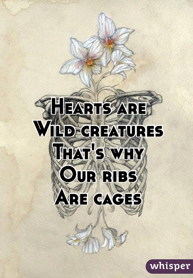 hearts are wild creatures that