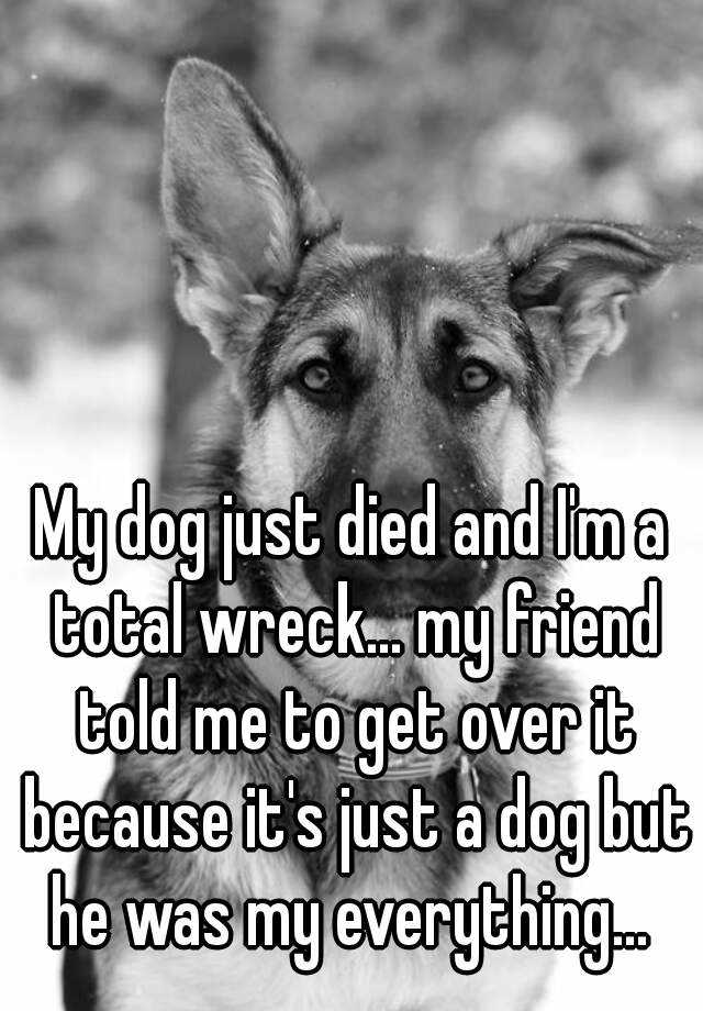 My dog just died and I'm a total wreck... my friend told
