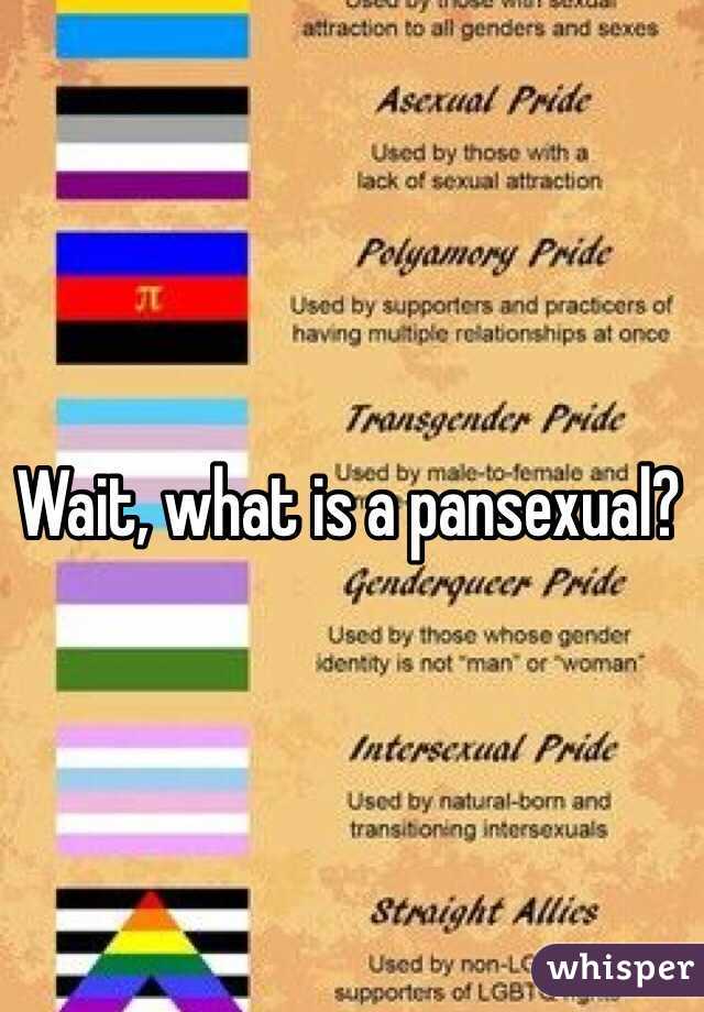 Wait What Is A Pansexual