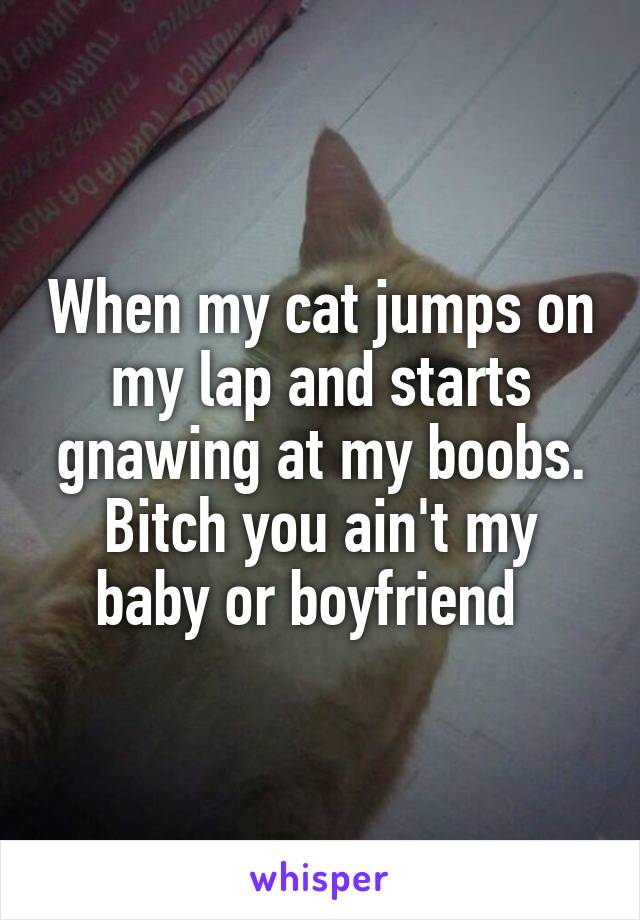 When my cat jumps on my lap and starts gnawing at my boobs. Bitch you ain't my baby or boyfriend  
