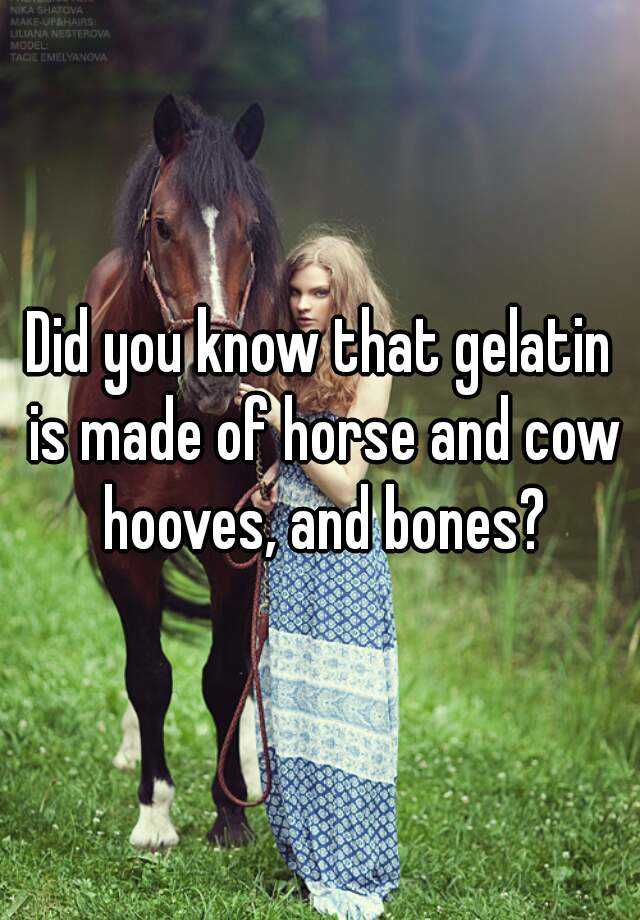 Did you know that gelatin is made of horse and cow hooves, and bones?