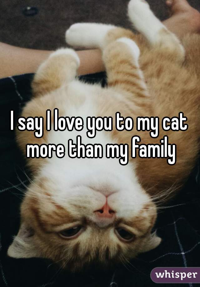 I say I love you to my cat more than my 