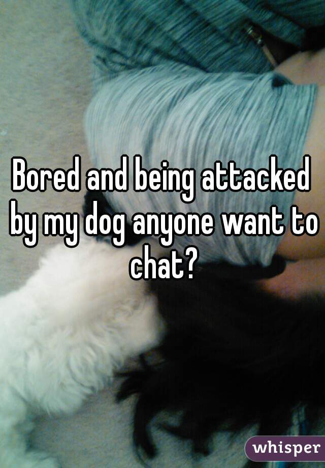 Bored and being attacked by my dog anyone want to chat?