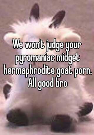 Midget Hermaphrodite Porn - We won't judge your pyromaniac midget hermaphrodite goat ...