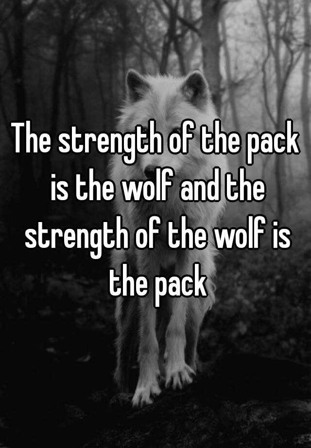 strength of the wolf kendall mckenna