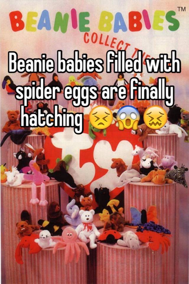 beanie babies hatching spiders