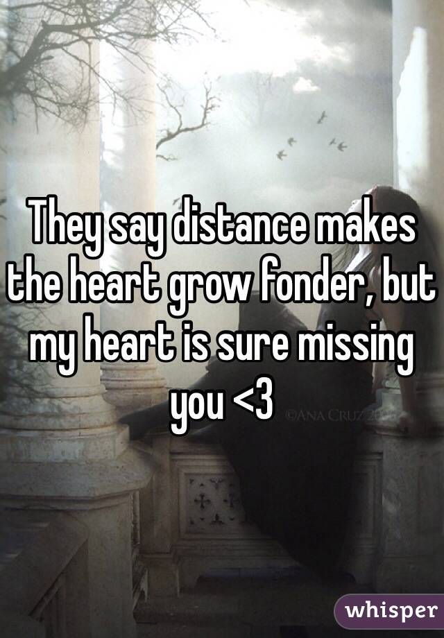 They Say Distance Makes The Heart Grow Fonder But My Heart Is Sure Missing You 3