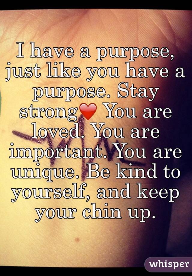 i loved you on purpose