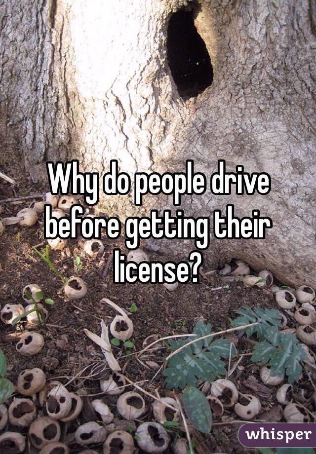Why do people drive before getting their license?
