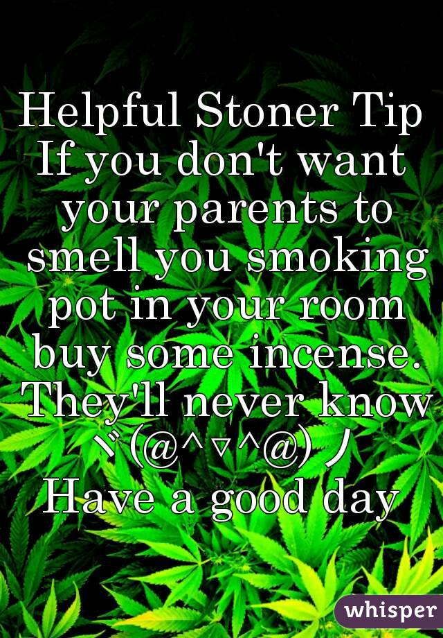 Helpful Stoner Tip If You Don T Want Your Parents To Smell